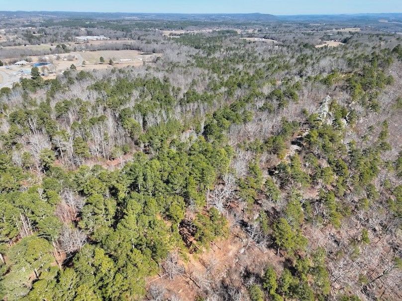 DJI_20260212111323_0011_V