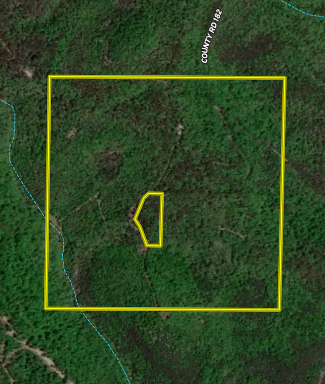 Screen Shot 2024-03-20 at 12.33.22 PM