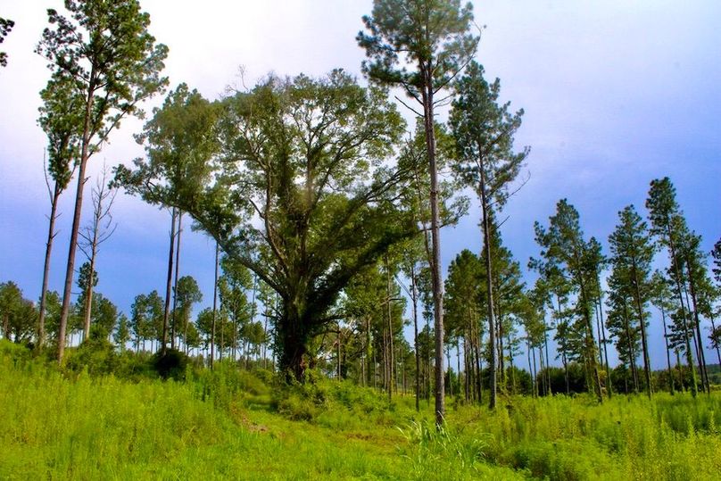 E87FF5C0-B203-439F-9A82-D3B00C253AE5_1_105_c