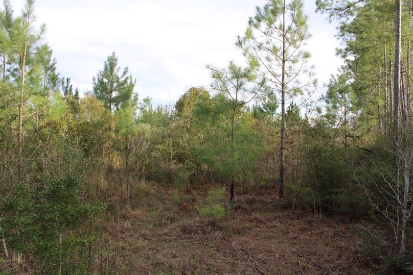 88B59374-503A-4D88-8441-7B85ACB9CAEE_1_105_c