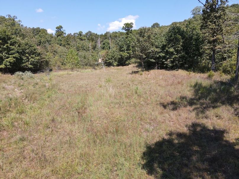 dji_fly_20250902_122104_754_1756833677621_photo