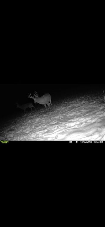 Screenshot 2026-02-27 at 4.03.23 PM