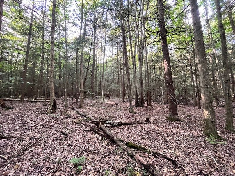 Chemung_78.26+Gutchess_Lumber_Photos_17