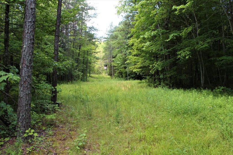002 open lane along the top edge of a mid-level flat