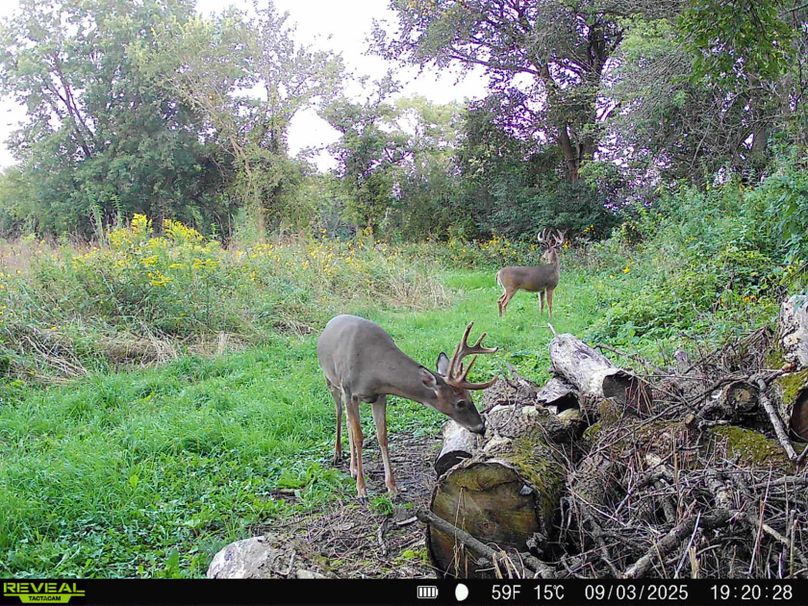 a9291cb6-522f-42eb-ab29-aae095c6329c