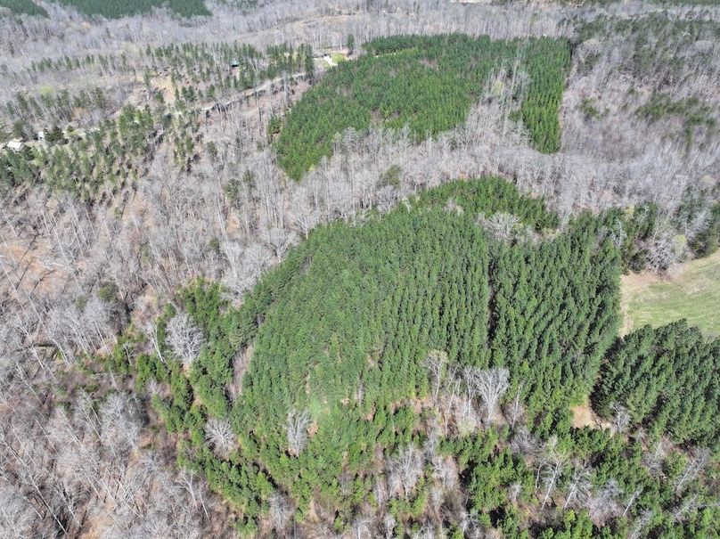 dji_fly_20260325_120834_0667_1774539239002_photo