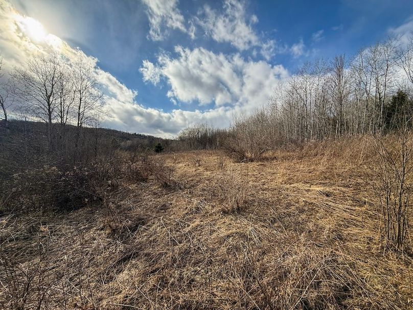 Chemung_59.65_Kocsis_photos_15