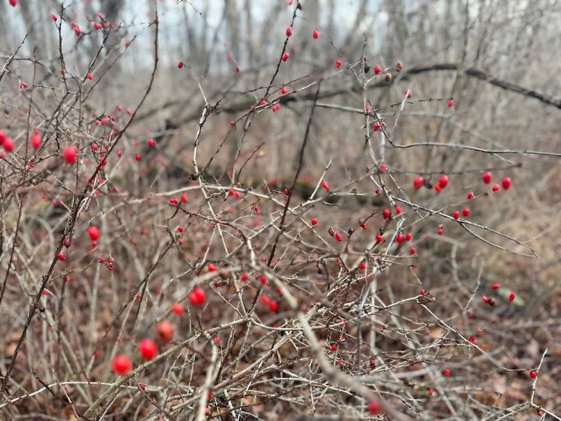 Tompkins_15.15_Galarza Photo 37