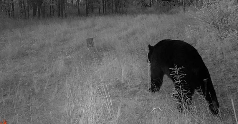 24083020192201000378 (1)