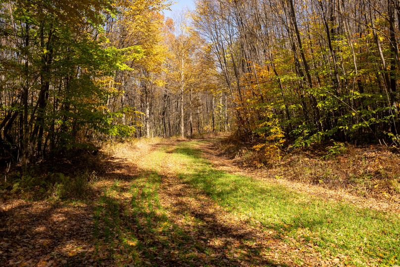 Elk PA 7000 Feature_Pro Photo-104