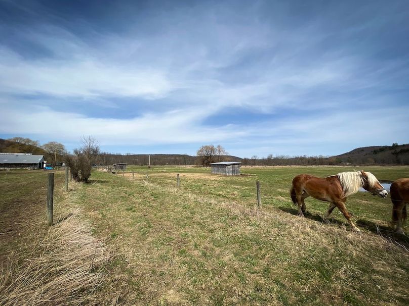 Tioga__NY_109.7_Burris_Photos_132