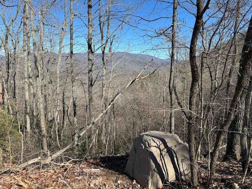 011 Clay 124.76 Fleaback-03