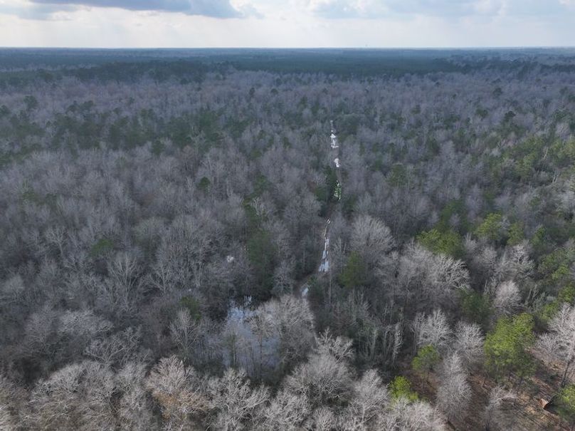 dji_fly_20260212_135548_0031_1771284252708_photo