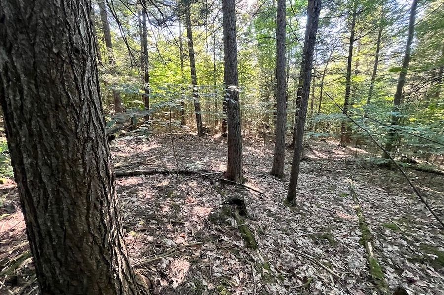 Chemung_20.000_Rouseland_Lot3_Photos_22