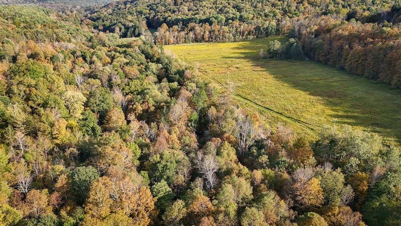 Tioga_30_Flanner Photo 42