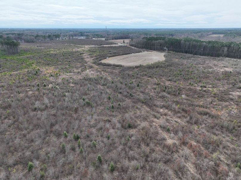 DJI_20240305095100_0020_D