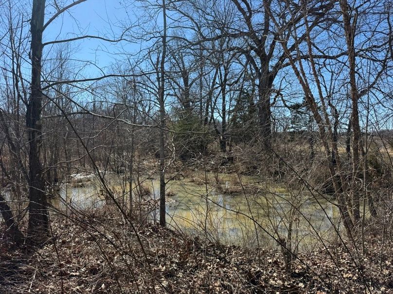 006 the springfed pond that lies near the southwest boundary