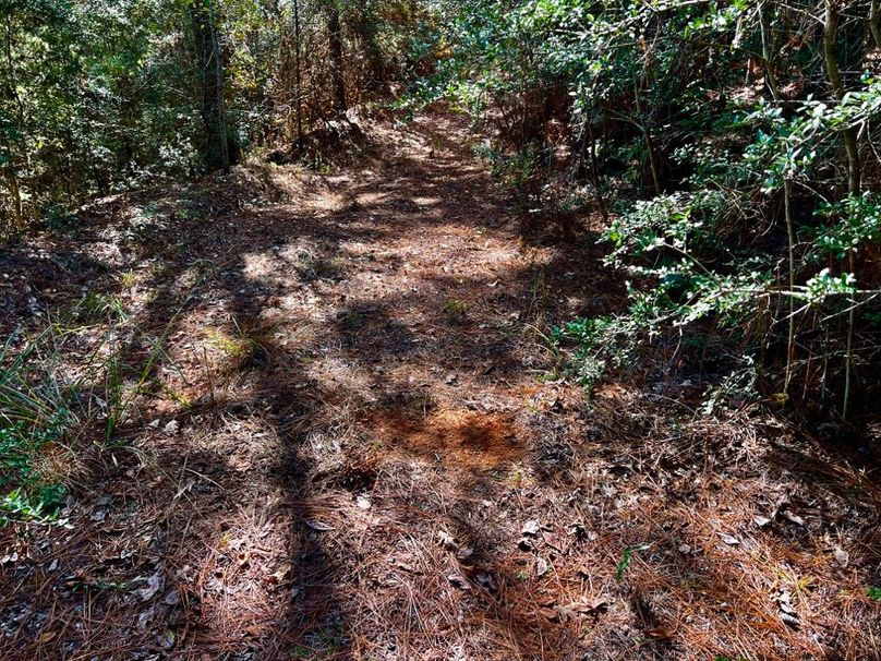 C9CB383D-C1E0-4440-A1AF-7CCE76CA89F7_1_201_a