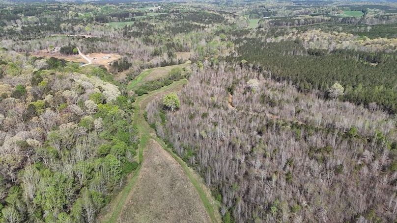DJI_20250408110145_0103_D