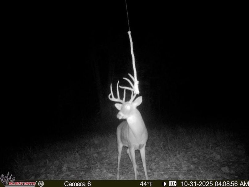 8D82F47E-5034-4044-AEC9-11D6DC097B8E