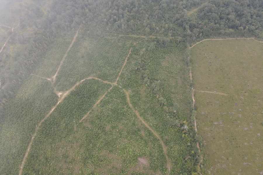 dji_fly_20240917_121930_299_1726593587443_photo