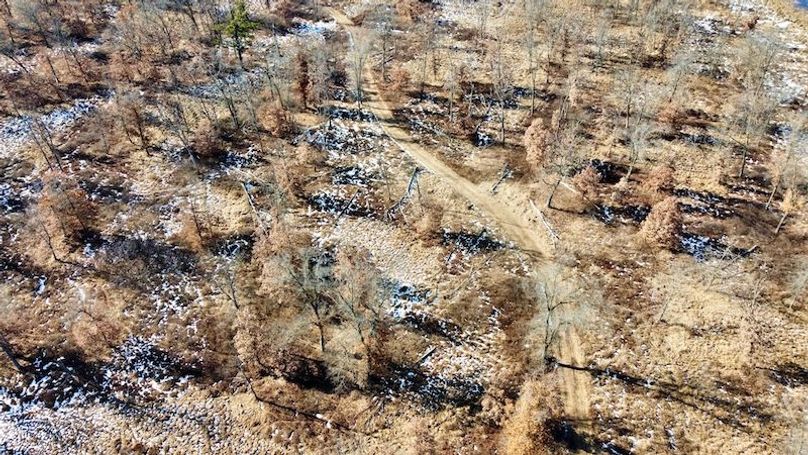 dji_fly_20240205_130004_990_1707264702440_photo_optimized 2