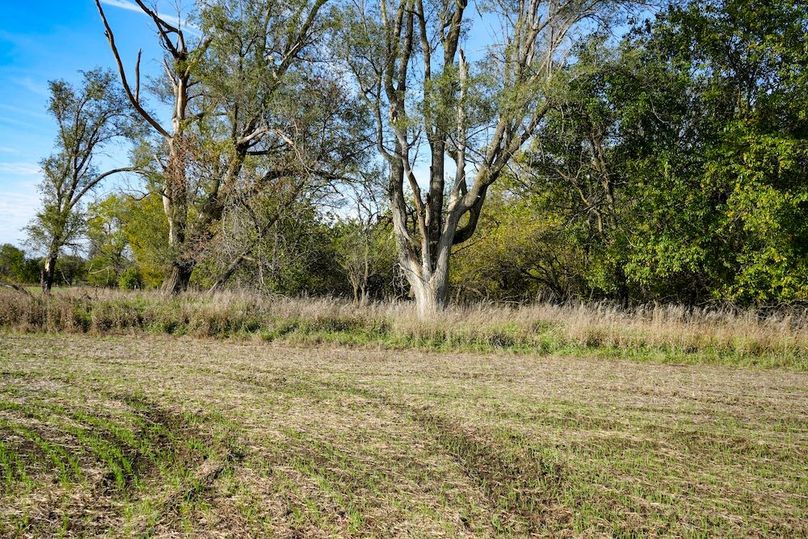 Dickinson Co, 154.5_043