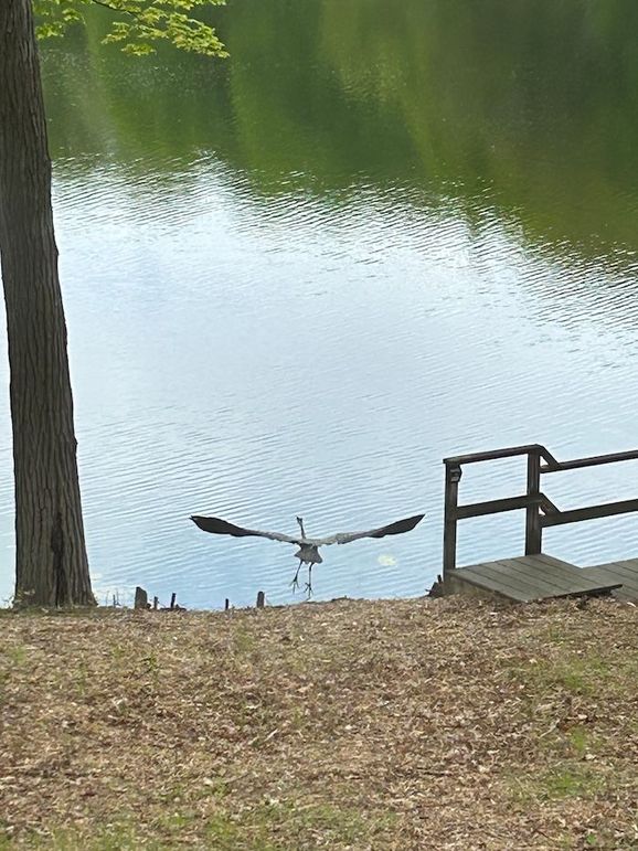 Crane