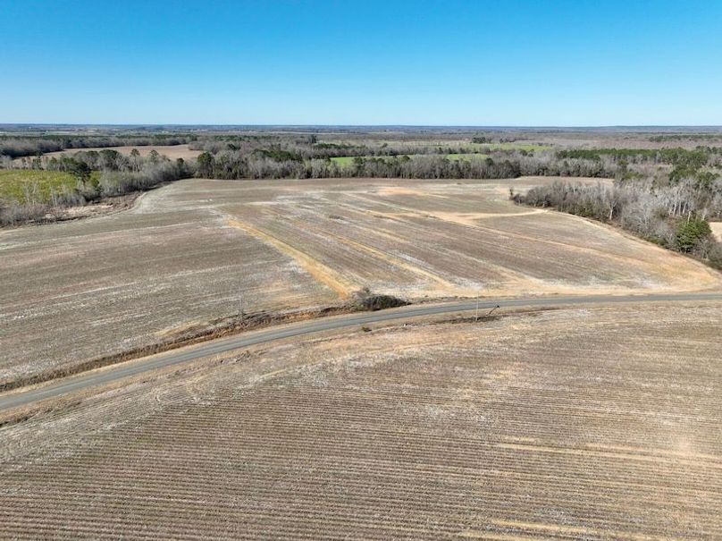 dji_fly_20260115_144618_144_1768507001430_photo