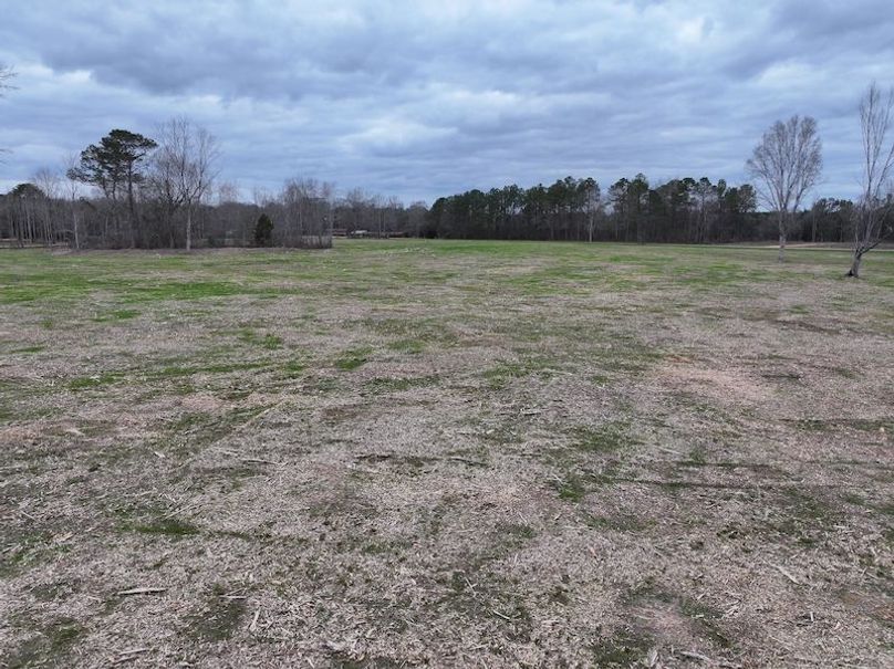 Copy of dji_fly_20260217_143926_0160_1771436902108_photo