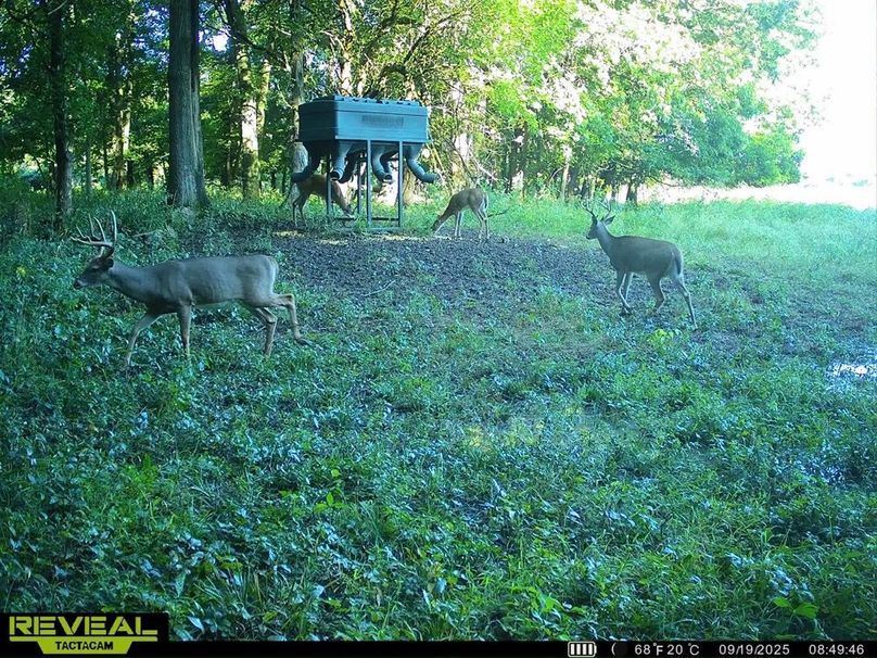 860322065946383-100-3-09192025152524-HD-SYEW4279