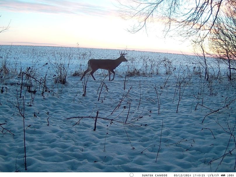 2024-1203-174526_000504