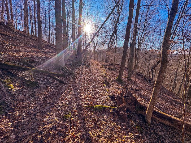 Lewis, WV 82.87 AC Barger-52