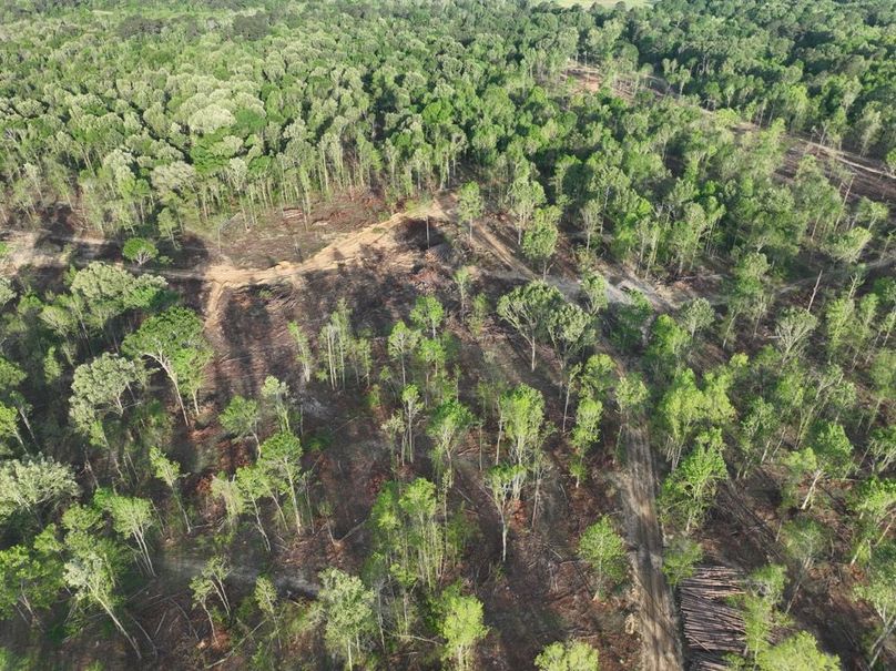 dji_fly_20260407_083602_363_1775580292979_photo