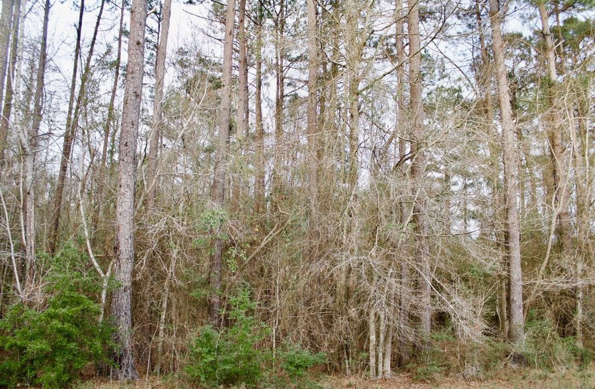 08EF6E94-C280-45EB-A4AB-3462569063BA_1_105_c