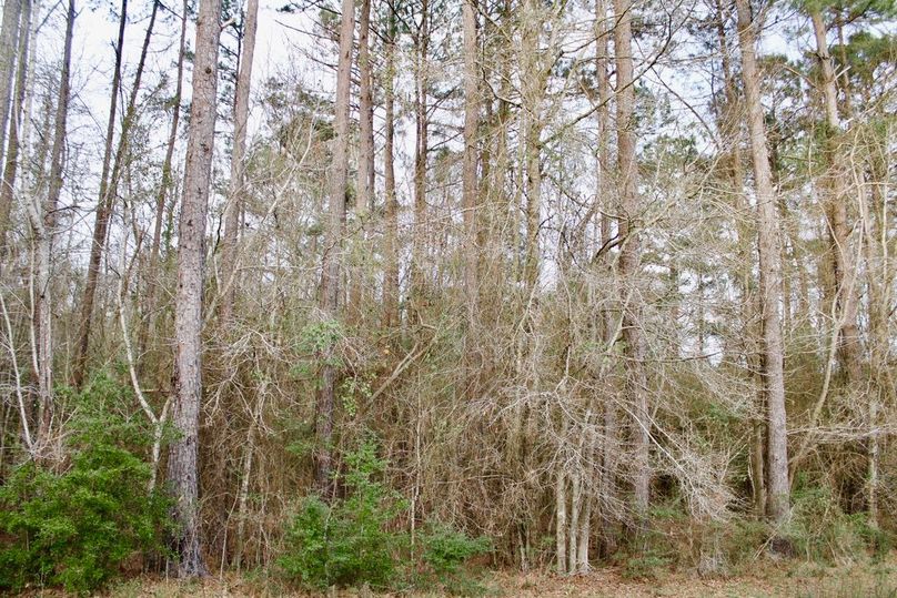 08EF6E94-C280-45EB-A4AB-3462569063BA_1_105_c