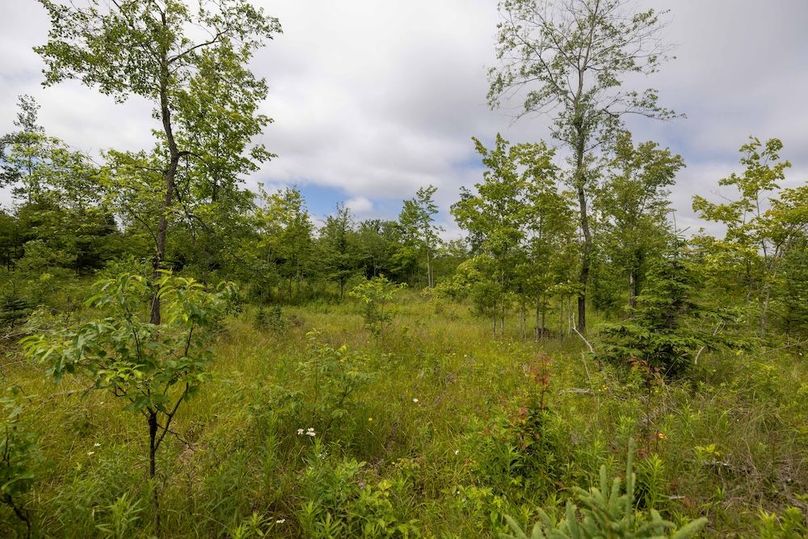 Mackinac 160 Leppiaho-17