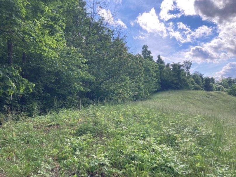 080 the views in the upper fields are something