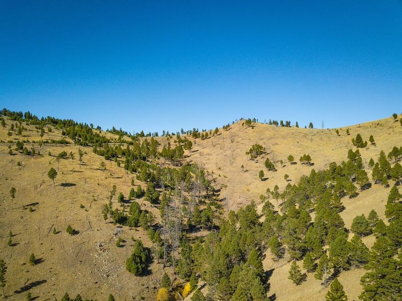 20240925-DJI_0268