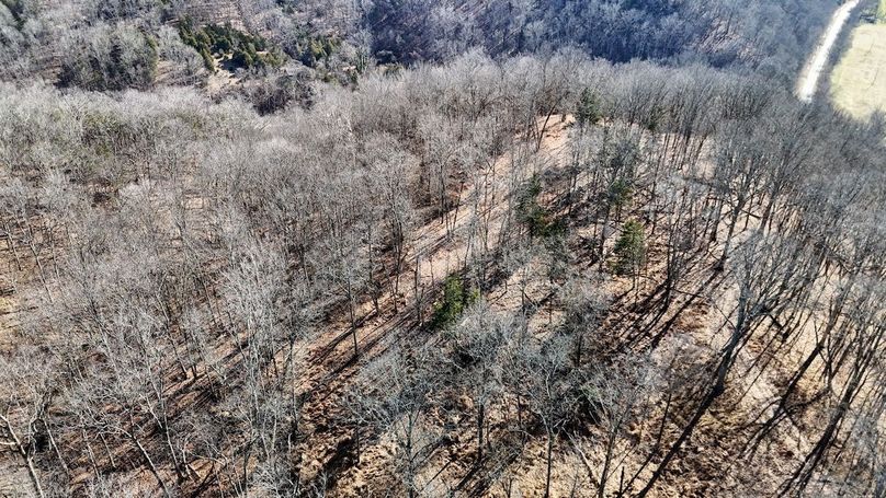 DJI_20260122124018_0026_D