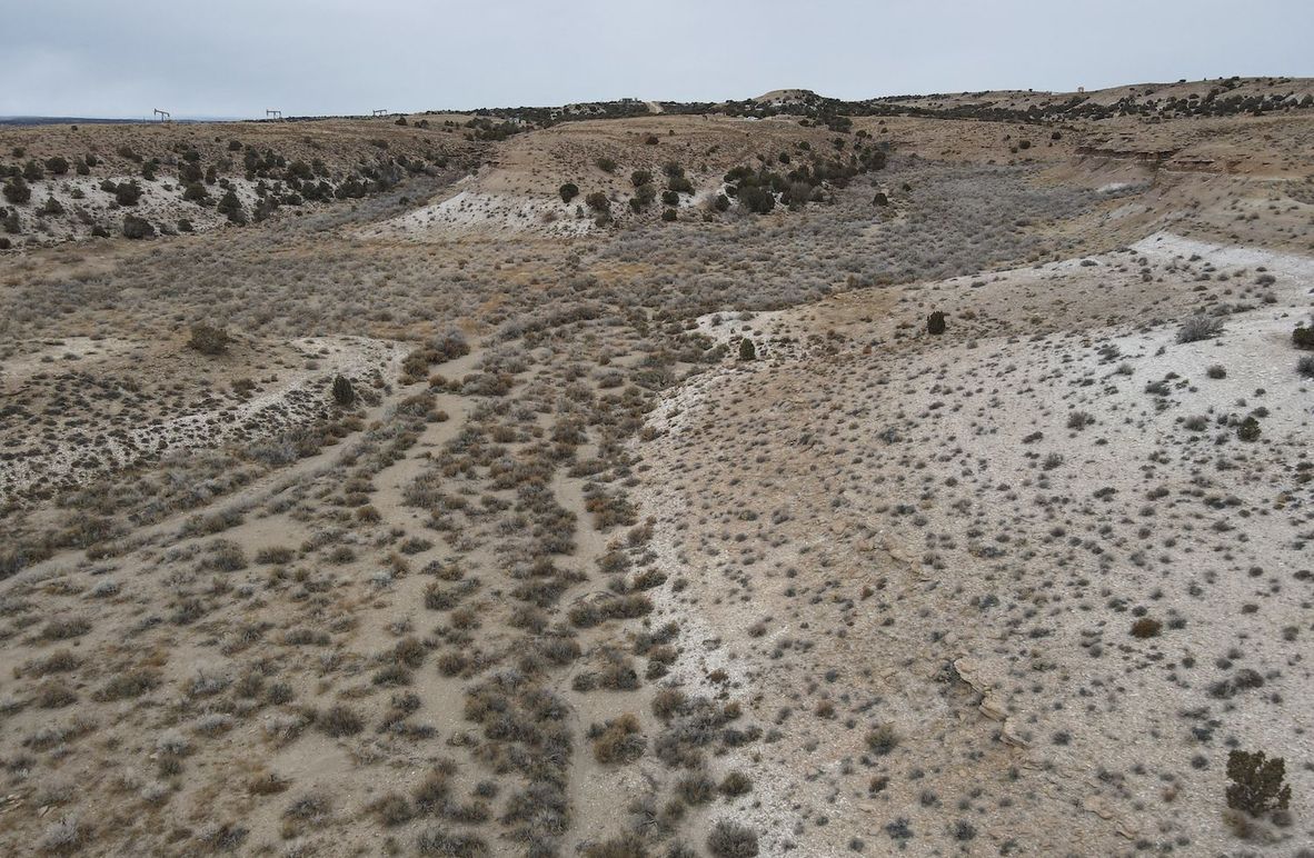 dji_fly_20240205_113908_293_1707158714154_photo