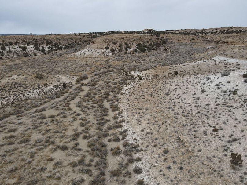 dji_fly_20240205_113908_293_1707158714154_photo