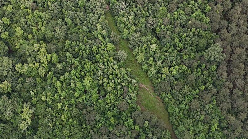 DJI_20260528015320_0020_D