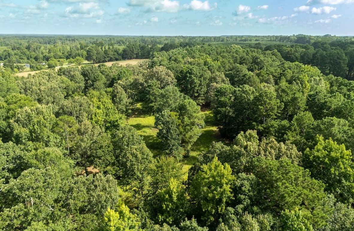 1 Upshur Co. 26ac - Genignani-11