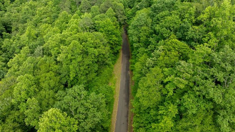 91 Featured_ProPhoto-75