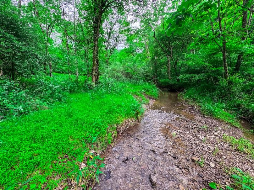 Tyler, WV 313.87 AC -42