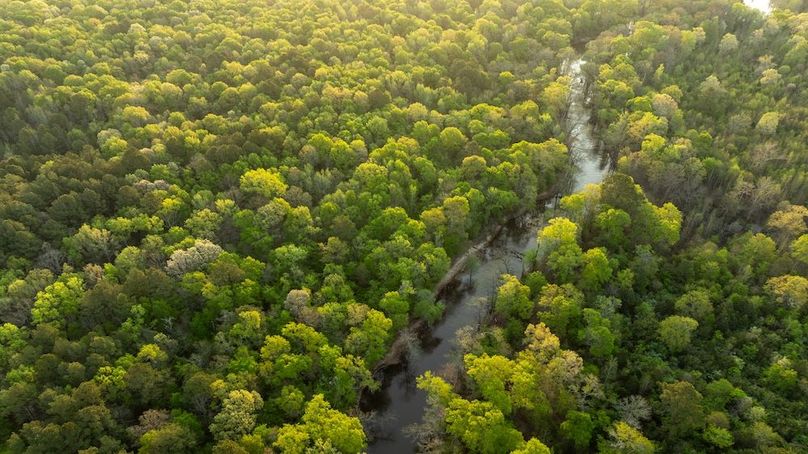 Copy of 62 Marion TX 143 and 117 Featured_ProPhoto-117