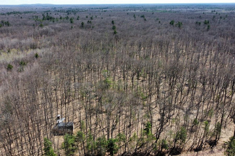 dji_fly_20230503_115134_351_1683230756003_photo_optimized