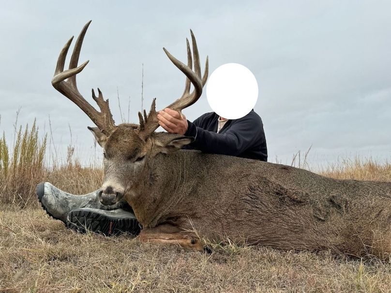 Copy of image000000 2