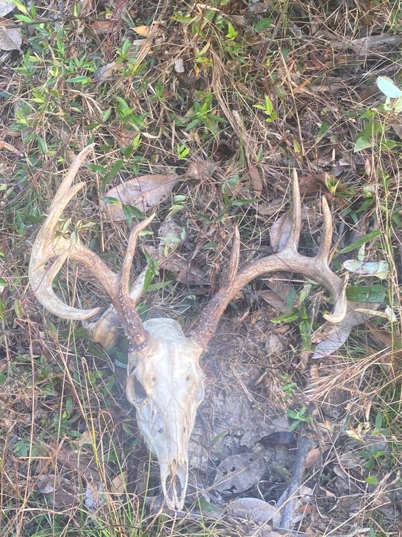 75138158396__BE54A1F9-B622-4B44-B394-D8480D382C65